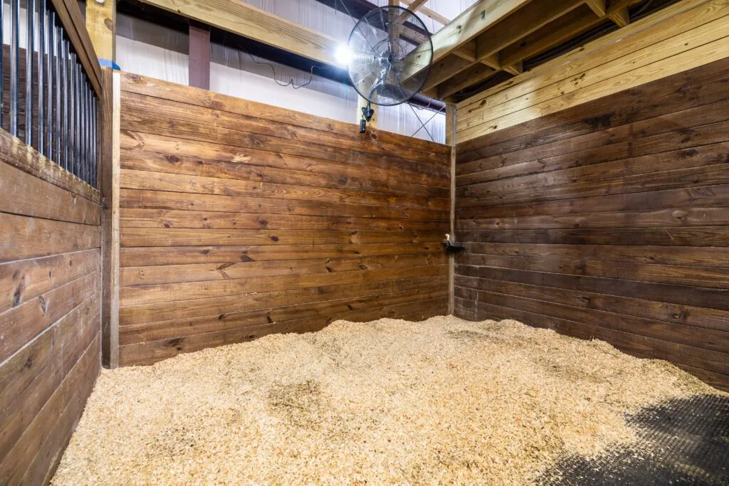 Our stalls combine comfort, cleanliness, and full protection from storms and wildlife.