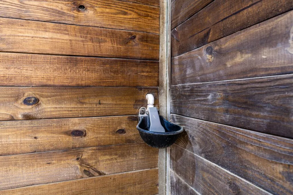 Every paddock and stall is equipped with an automatic waterer.