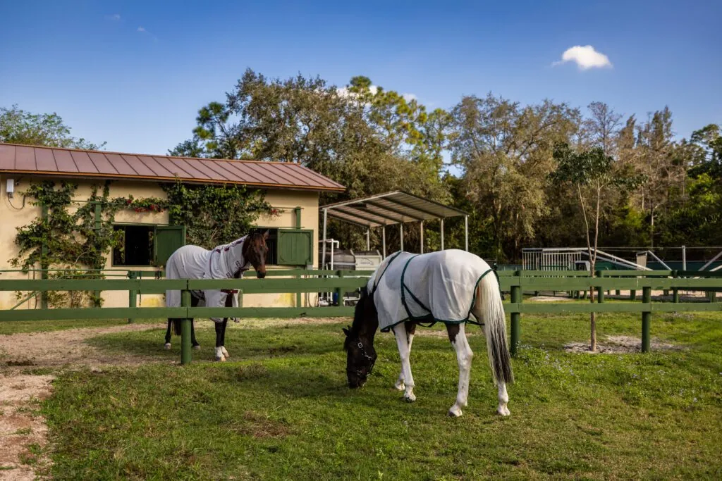 Paddocks, Automatic waterers keep horses hydrated in paddocks that mirror their natural habitat.